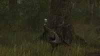 Wild Turkey Hunter screenshot, image №719343 - RAWG