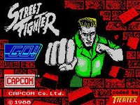 Street Fighter (1987) screenshot, image №745506 - RAWG