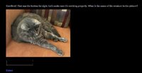 Immolation (itch) screenshot, image №4220869 - RAWG