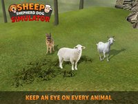 Sheep Dog: Trained Herding Dog Simulator screenshot, image №1780219 - RAWG