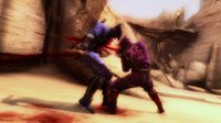 Ninja Gaiden 3 screenshot, image №564181 - RAWG