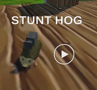 StuntHog screenshot, image №1985884 - RAWG
