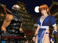 Dead or Alive Online screenshot, image №480279 - RAWG