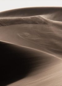 Life's Complexity screenshot, image №1181004 - RAWG