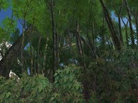 Pirate Hunter screenshot, image №393263 - RAWG