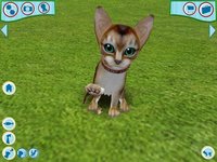 Catz 6 screenshot, image №468997 - RAWG