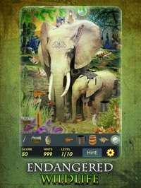 Hidden Object - Endangered Wildlife screenshot, image №1675862 - RAWG