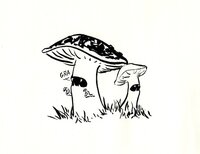 Magical Mushrooms screenshot, image №3411356 - RAWG