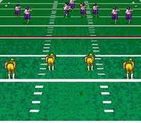 Pro Quarterback screenshot, image №760086 - RAWG