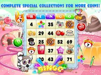 Bingo Bingo screenshot, image №892057 - RAWG