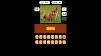 Photo Quiz - Animals screenshot, image №3956819 - RAWG