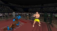Wrestlers Without Boundaries screenshot, image №853714 - RAWG