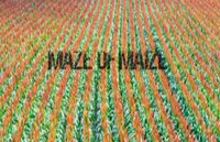 Maze of Maize screenshot, image №1921398 - RAWG