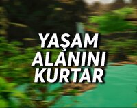 Yaşam Alanını Kurtar | ENTRY STUDIOS screenshot, image №3365149 - RAWG