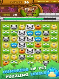 Super Pet Frenzy screenshot, image №918122 - RAWG