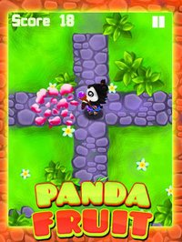 Ninja Panda Fruit Land screenshot, image №1705224 - RAWG