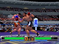 K-1 The Arena Fighters screenshot, image №2420440 - RAWG