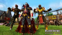 Blood Bowl Legendary Edition screenshot, image №551809 - RAWG