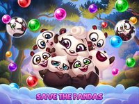 Panda Pop! Bubble Shooter Game screenshot, image №2023779 - RAWG
