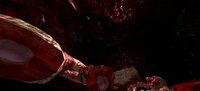 Invasion Vill screenshot, image №3391255 - RAWG
