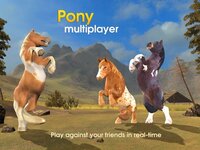 Pony Multiplayer screenshot, image №2473131 - RAWG