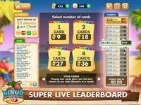 Bingo Country Days -Bingo Live screenshot, image №1857861 - RAWG