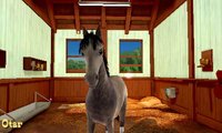 My Riding Stables 3D - Jumping for the Team screenshot, image №795883 - RAWG