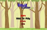 The Ninja iLLusion screenshot, image №1114544 - RAWG