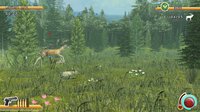 Deer Hunt Legends screenshot, image №199266 - RAWG