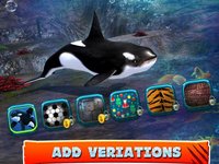 Killer Whale Beach Attack 3D screenshot, image №895434 - RAWG