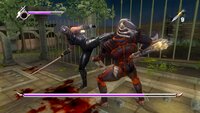 NINJA GAIDEN SIGMA PLUS screenshot, image №3305996 - RAWG