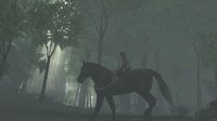 The ICO & Shadow of the Colossus Collection screenshot, image №725493 - RAWG