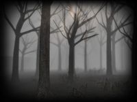 Slender Rising screenshot, image №8865 - RAWG