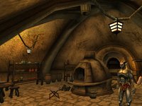 The Elder Scrolls III: Morrowind screenshot, image №289998 - RAWG
