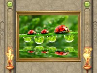 FlipPix Jigsaw - Small World screenshot, image №1336380 - RAWG