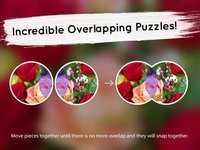 Venn Valentine's Day: Overlapping Jigsaw Puzzles screenshot, image №1788547 - RAWG