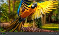 Animals Of The World screenshot, image №3311960 - RAWG