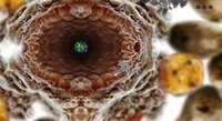 My Microscopic Pet screenshot, image №3509524 - RAWG