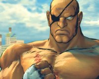 Street Fighter IV screenshot, image №491257 - RAWG