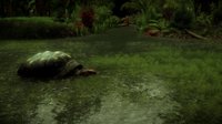 The Red-Footed Tortoise screenshot, image №1004934 - RAWG