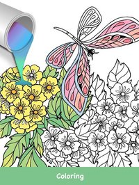 Butterflies Coloring Books screenshot, image №1380912 - RAWG