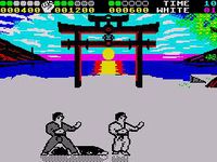 International Karate + screenshot, image №732149 - RAWG