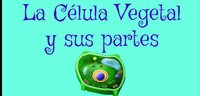 La Célula Vegetal screenshot, image №2436586 - RAWG