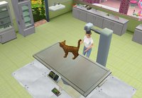 Pet Vet 3D: Animal Hospital screenshot, image №465388 - RAWG