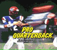 Pro Quarterback screenshot, image №760087 - RAWG