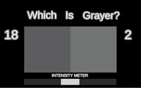 Which Is Grayer? screenshot, image №2325801 - RAWG