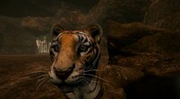 The Savana screenshot, image №2494576 - RAWG