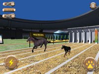 Greyhound Racing Tournament 2 screenshot, image №1989905 - RAWG