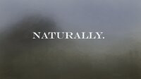Naturally. screenshot, image №2847282 - RAWG