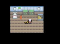 Pokemon Winterthur Edition screenshot, image №2901785 - RAWG